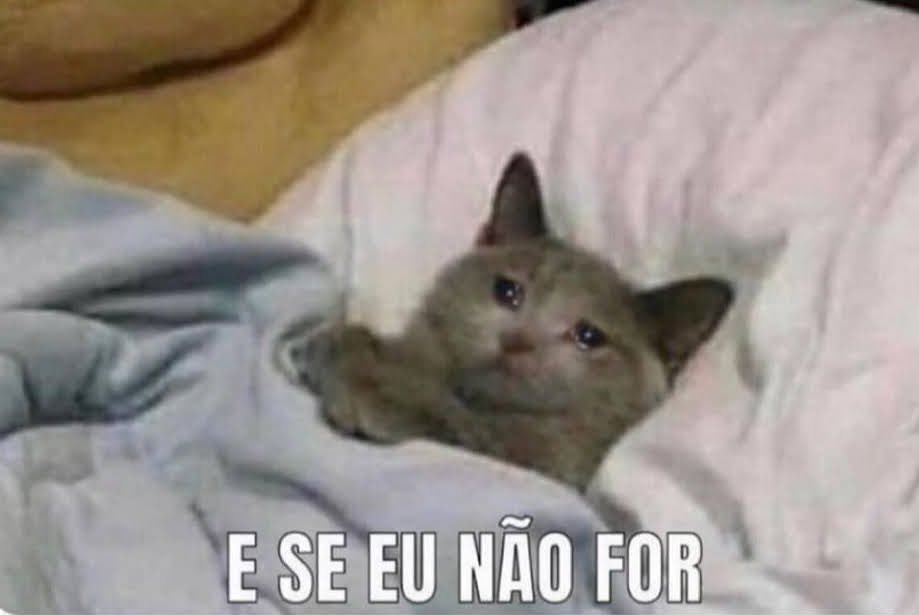 DiariodaCPTM's tweet photo. O alarme toca, eu automaticamente! https://t.co/wrLj0Y5rRE