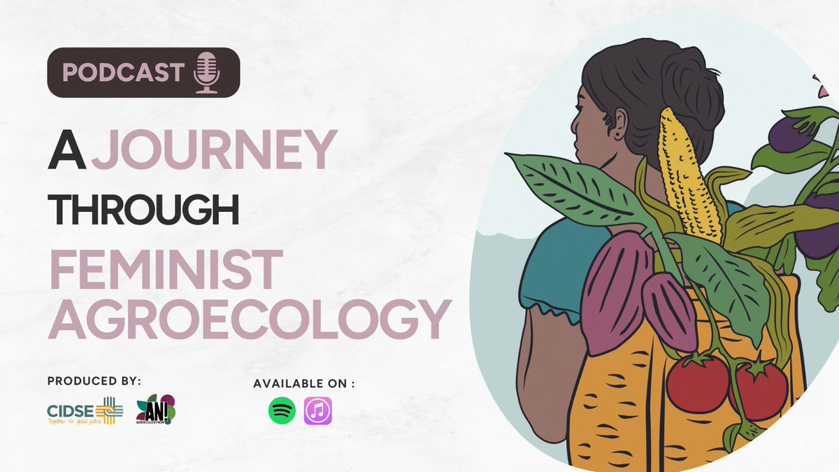 🟣 This #InternationalWomensDay, amplify the voices of women shaping the agroecology movement! 🌱 Our podcast mini-series unveils inspiring stories, highlighting the intersection of feminism and sustainable food systems 🎧⤵️ buff.ly/49UvAXo
