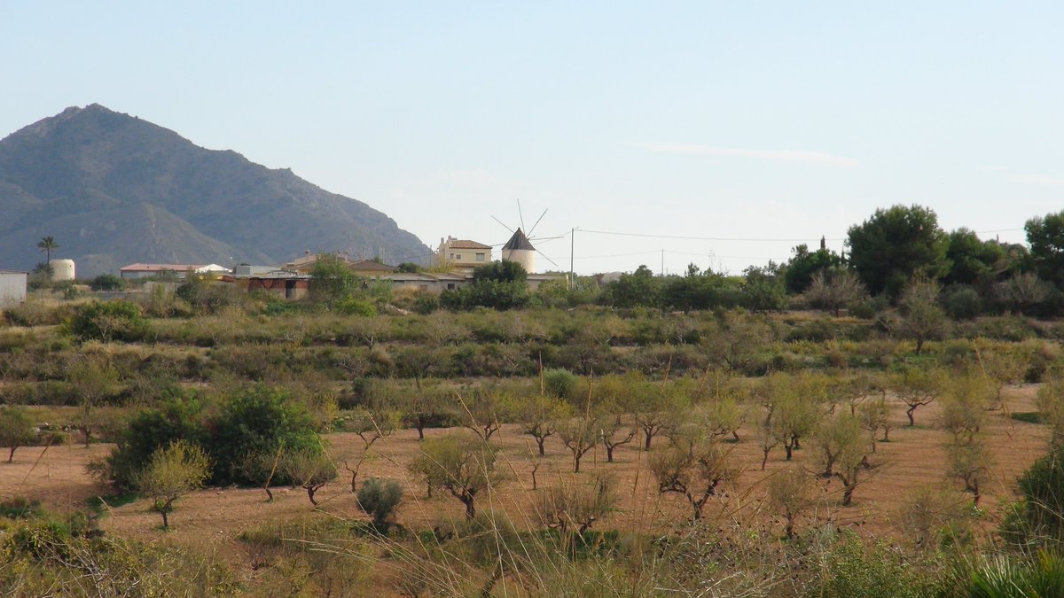 Interested in transforming semi-arid regions towards sustainable futures?

Take a look to the Spanish case 🇪🇸! Download the Spain Action Plan and the XPaths Dialogues reports on how to advance the SDGs #Sustainability #LocalAction

👉xpathsfutures.org/publications/