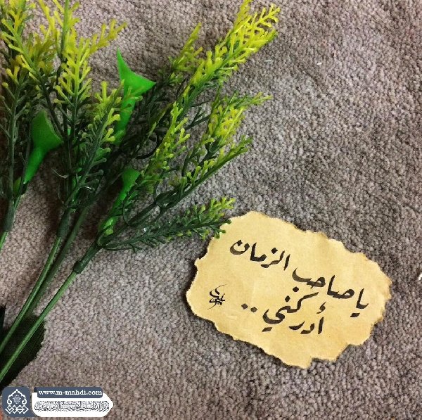 كم نحن مساكين حينما نقرأ ان أصحاب الأئمة كانوا يذهبون لائمتهم ويرونهم متى شاؤوا ونحن نتحسر على لحظة بلقائك كم نحن مساكين، حينما نقرأ ان أصحاب الأئمة يسألون الأئمة عن أبسط الأمور فتطمئن به قلوبهم ونحن نتصادم يومياً بالشبهات والفتن ولا ملجأ لنا بغيبتك
#اللهم_عجل_لوليك_الفرج