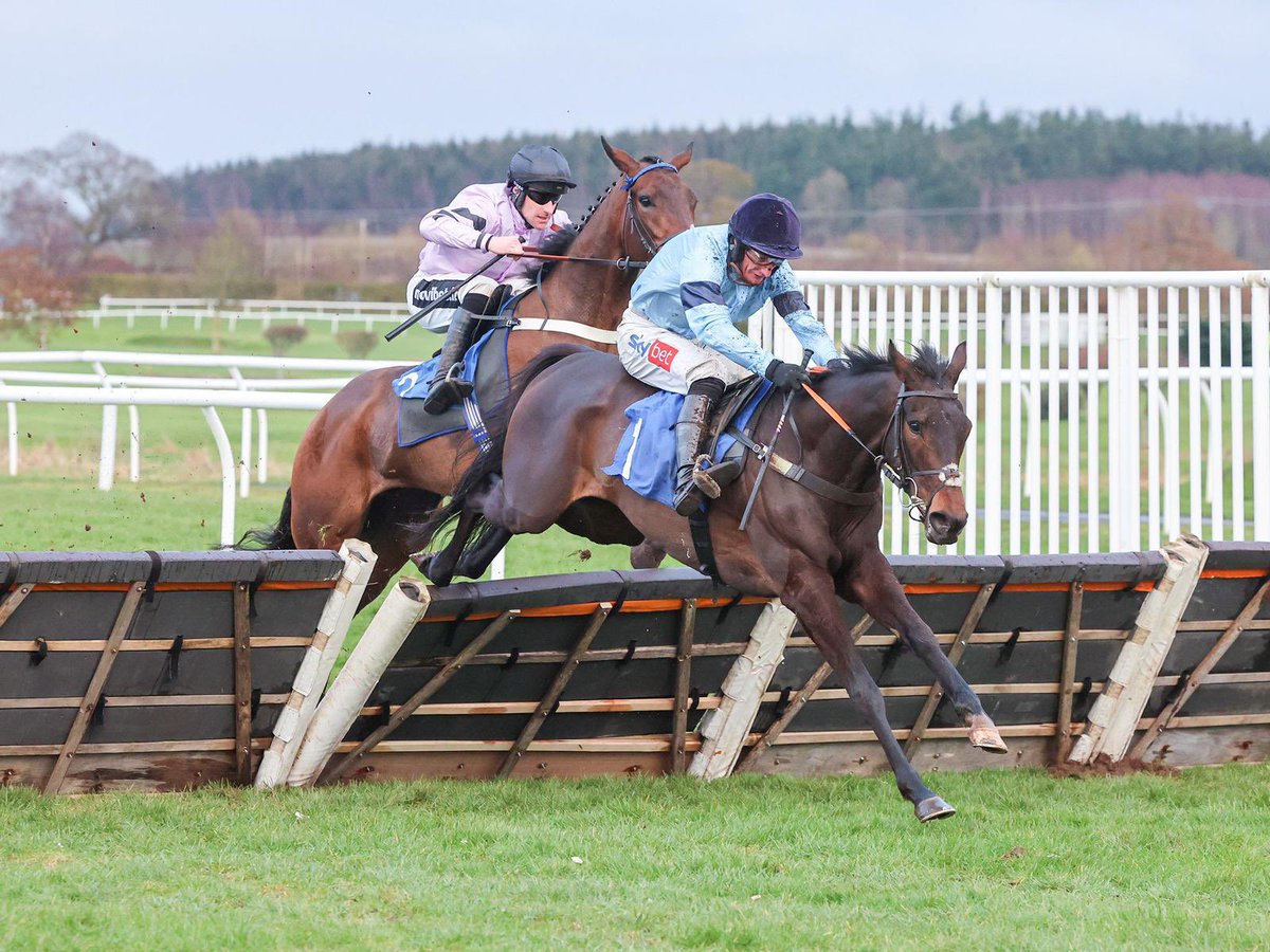 Daryl Jacob pictured with Mojo Ego last Saturday after winning the Juvenille Hurdle at Kelso 📸 #NSM #NeptuneSportsManagement #Horseracing #Racehorse #NationalHunt