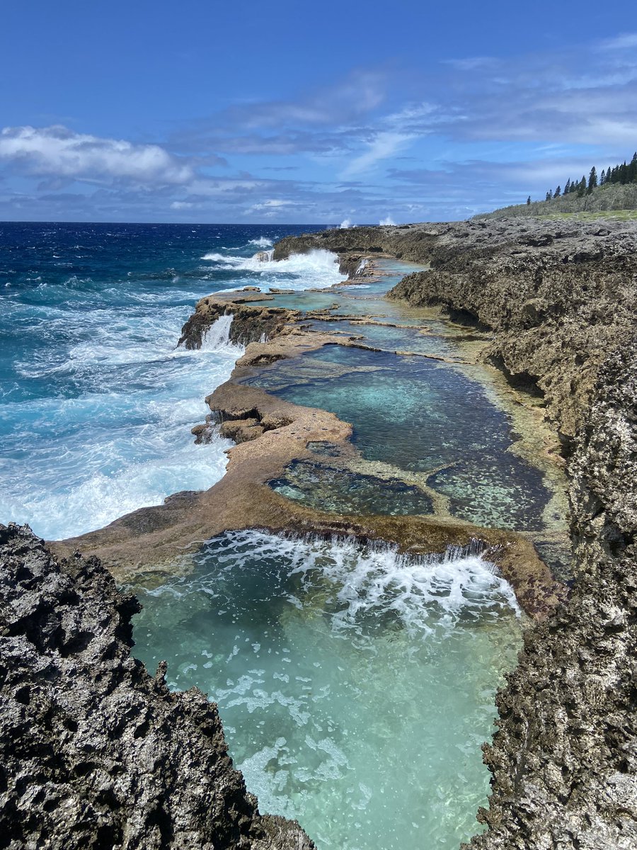 marina chouine tweet media