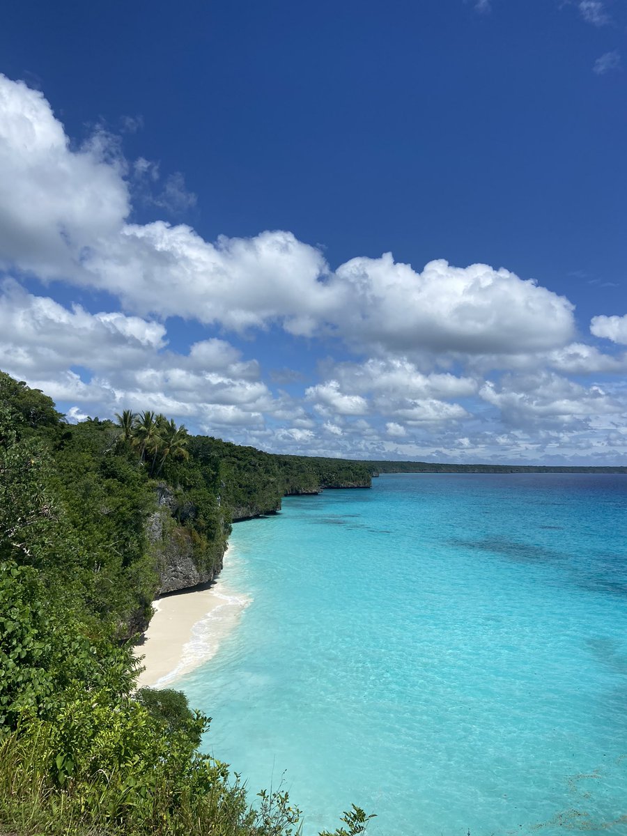 marina chouine tweet media