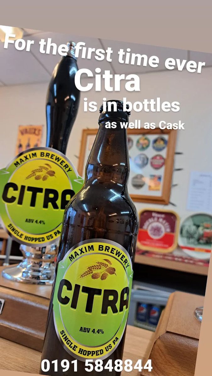 MaximBrewery's tweet photo. * New Bottle Alert* Citra goes on sale today! We now have 7 cases of bottles to choose from direct from the brewery - Double Maxim, Samson, Maximus, Swedish, Raspberry Porter &amp; the last few remaining NZ Pale Ale. Shop open Mon-Fri 10am-3pm or on tap nights until 10pm. Cheers 👍🍻 https://t.co/HDDpRT0nZ2