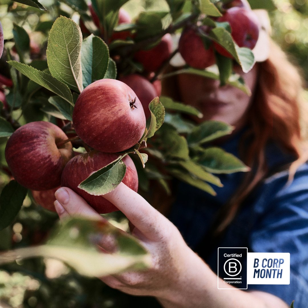 Ellers Farm Distillery | Certified B Corp® tweet media