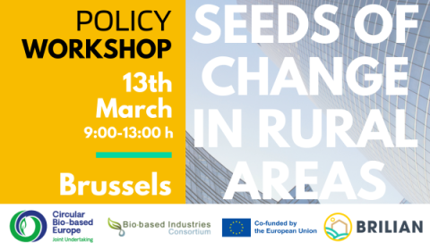The rural side of circularity? @brilian_project is organising a workshop, tackling utilising #rural feedstocks and improving the availability of #agricultural workers in areas with few young people, etc. 🗓️Brussels, 13 March, 09:00-13:00 🚜europa.eu/!gFg6Y9