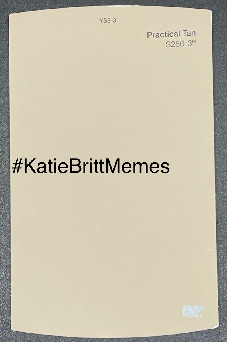 #KatieBrittMemes