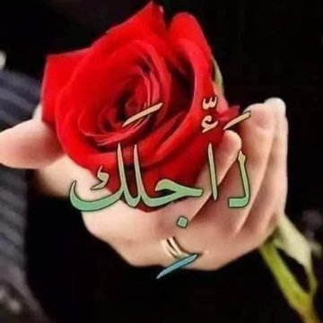 دختور🔥🔥 tweet media