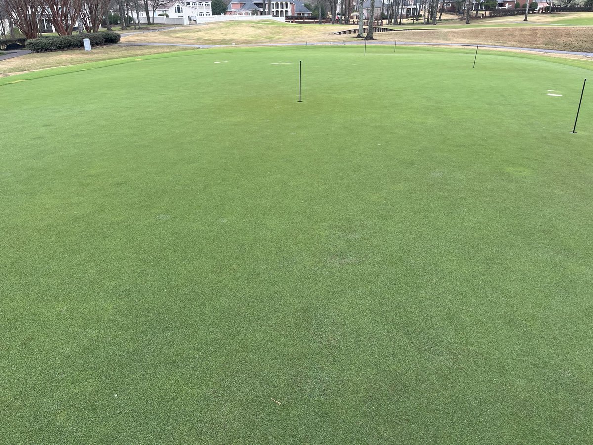 Greens have come out early. Really good for March 8th.