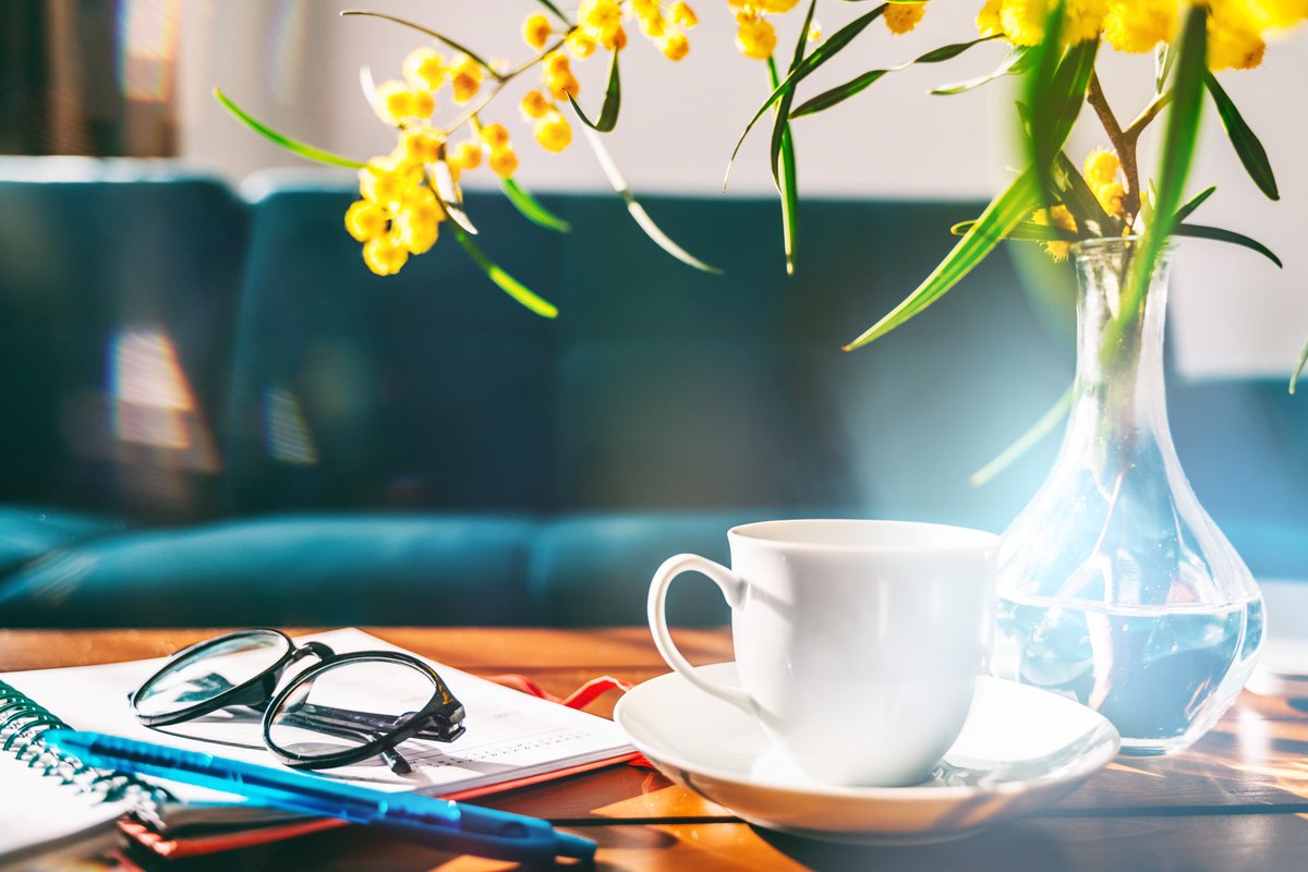 Ufficialmente in cerca di #editore!
Contenta di poter raccontare oggi, #8marzo, di aver terminato la revisione del mio nuovo #romanzo, dedicato allo straordinario percorso di vita di una ex #collega. Ancora più felice di aver scritto, da donna, di e per una #donna. #StayTuned 💛