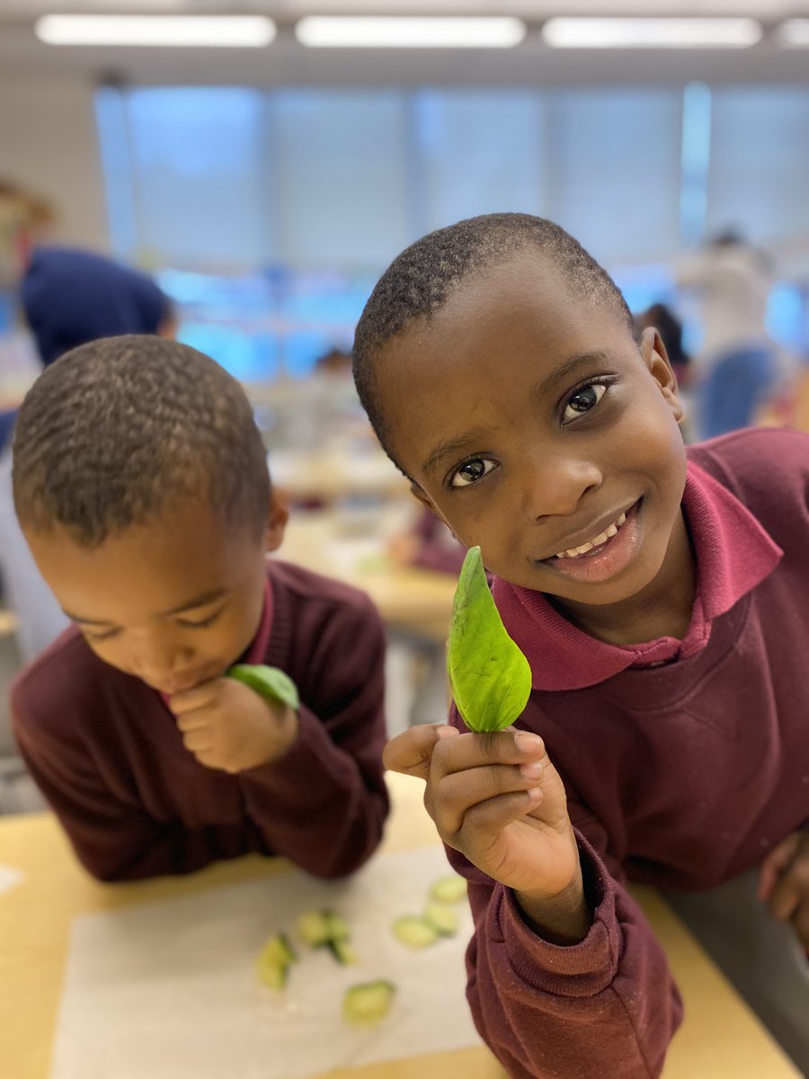 Happy National Nutrition Month! 🍊 Wellness in the Schools’ vision is to ensure access to nourishing food and active play in public schools. Celebrate with us and make some nutritious WITS Recipes: wellnessintheschools.org/program/tools/…