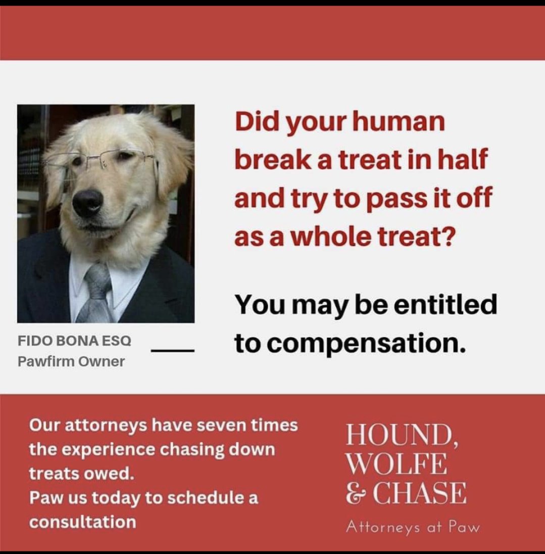 CentenoKennels's tweet photo. https://t.co/jPkGDnh2Q4
