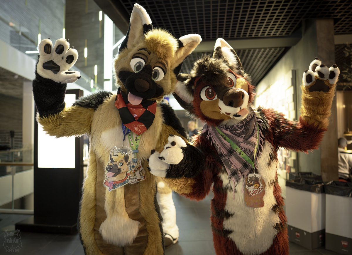 You’re wandering around the convention and you stumble upon these fluffy boyz.

What do you do? :3

#NFC2024 

🐶: <a href="/CertifiedBlep/">Luuwaku</a> 

📸: <a href="/Krymson_K/">Krym🐾 /🟦 : tuftslink.fr</a>