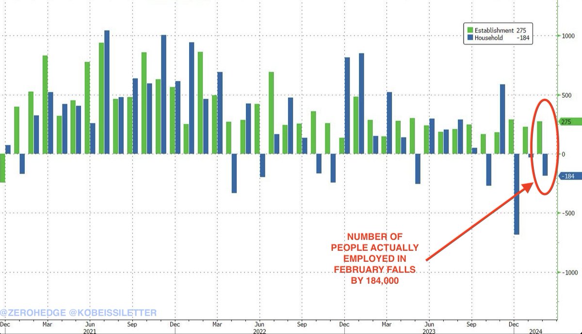Wow.

All the headlines will show that the US economy added 275,000 jobs in February.

But in reality, the number of people ACTUALLY employed FELL by -184,000, according to Zerohedge.

The number of workers employed in the US was 160.968 million, the lowest number since May 2023.