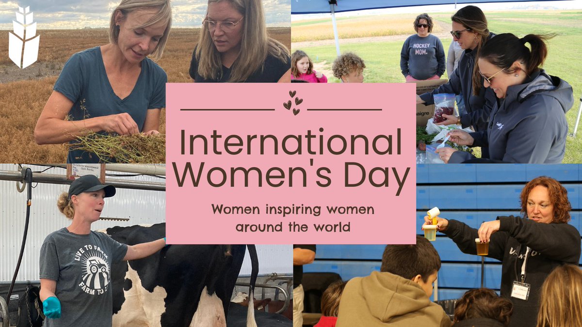 Today, we want to celebrate the powerful women working in agriculture. 

💪 From the field, to the office to the classroom, these women are creating a strong future for agriculture.

💚 From the team at #AITCSK, Happy International Women's Day.

#InspireInclusion #WomenInAg