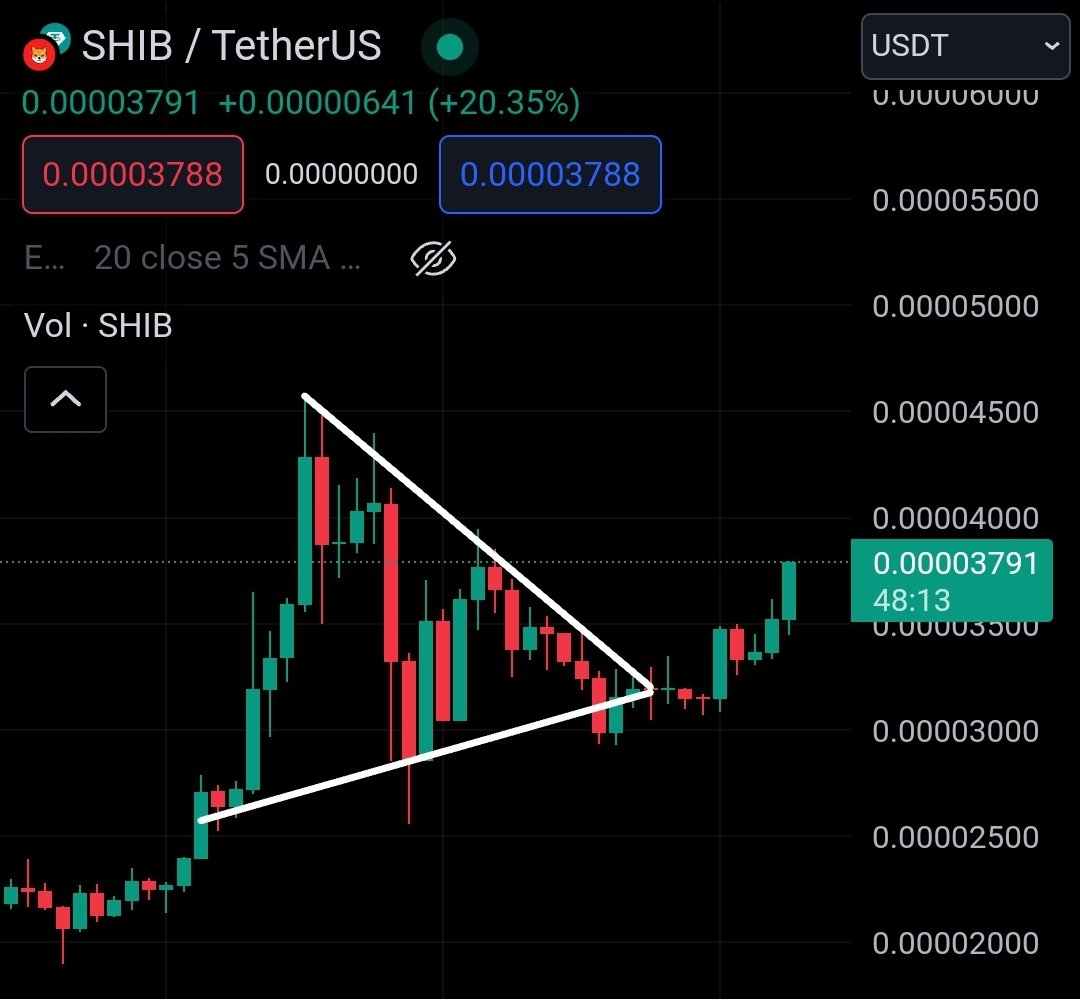 $SHIB KNIGHT tweet media