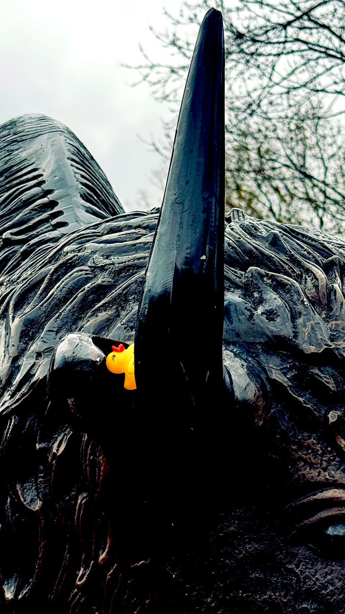 jaysonstreet's tweet image. Did a special #DuckArmyInvasion deployment dedicated to @dmissp for reminding me of the power of spreading joy just for the sake of it! 
💜🤗💜
So like this recruit says you have to take life by the horns and choose kindness! 😊