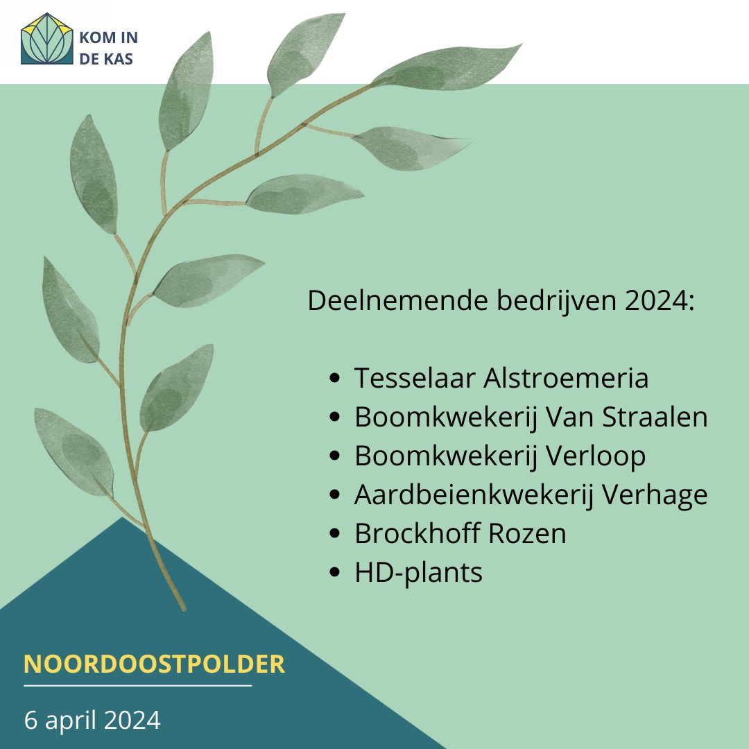#komindekas #komindekasnoordoostpolder
Graag stellen wij de deelnemende bedrijven aan Kom in de Kas Noordoostpolder op 6 april aan u voor: Tesselaar Alstroemeria; <a href="/JPvanStraalenJr/">JP van Straalen Jr.</a>; Verloop Boomkwekerij VOF,  Aardbeienkwekerij Verhage - <a href="/polderkoninkjes/">Polderkoninkjes</a>; Brockhoff Rozen; HD-plants