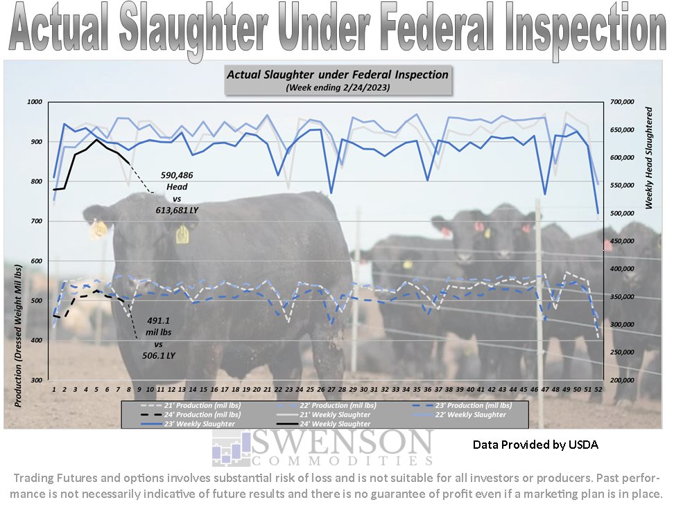 SwensonAg's tweet photo. Cattle slaughter and production were down week over week and year over year.  Carcass weights are higher year over year for both heifers and steers.  #OATT https://t.co/ebqvcdNTeP