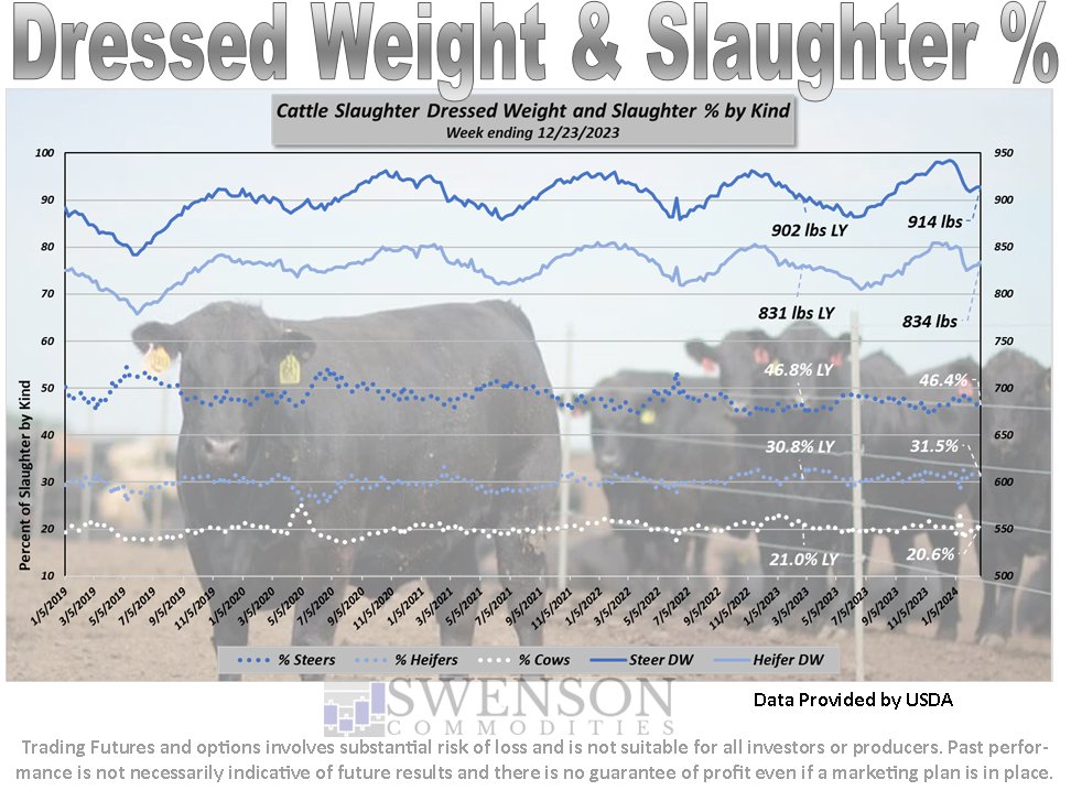 SwensonAg's tweet photo. Cattle slaughter and production were down week over week and year over year.  Carcass weights are higher year over year for both heifers and steers.  #OATT https://t.co/ebqvcdNTeP