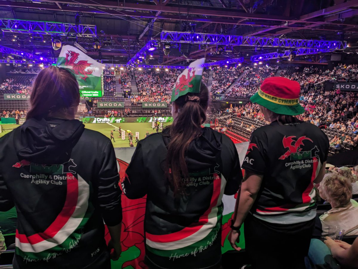 MiddleWilko's tweet image. Supporting Clare Flowers from Caerphilly and district agility club 
#CruftsScreen