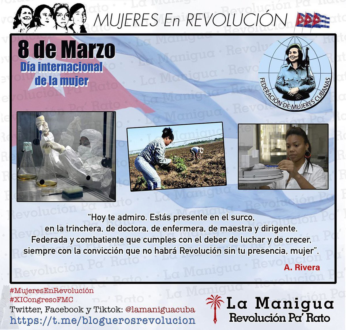 lamaniguacuba's tweet photo. Las mujeres constituyen un verdadero ejército al servicio de la Revolución … Cuando en un pueblo pelean los hombres y pueden pelear las mujeres, estos pueblos son invencibles, y la mujer de este pueblo es invencible.
Fidel Castro Ruz, 1960
#MujeresEnRevolucion https://t.co/hECcj4IYS1