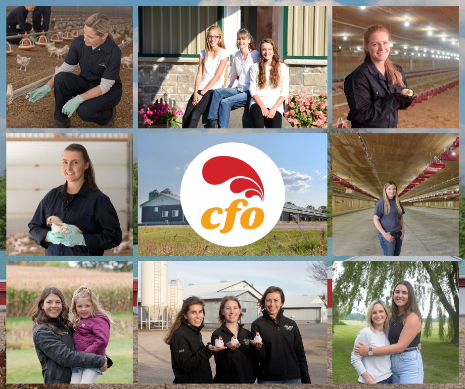 Today, #InternationalWomensDay, CFO is celebrating the hard working women chicken farmers that work to ensure Ontarians can access a steady supply of safe, healthy, locally-grown chicken. #Iheartchickenfarmers #IWD2024