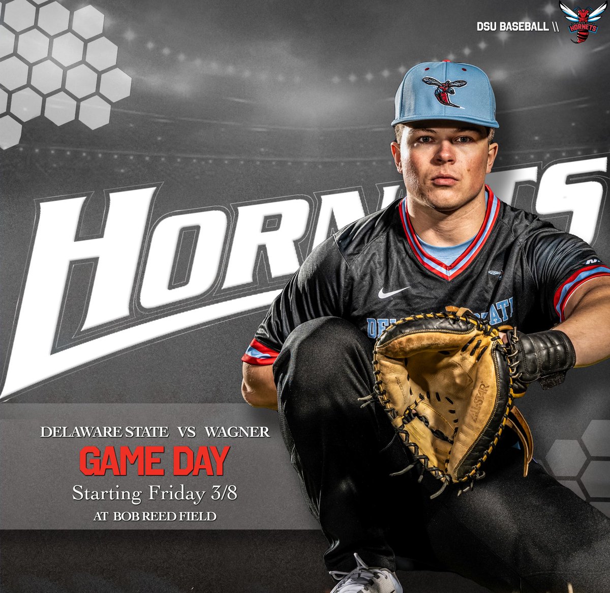 Delaware St. Hornets tweet media