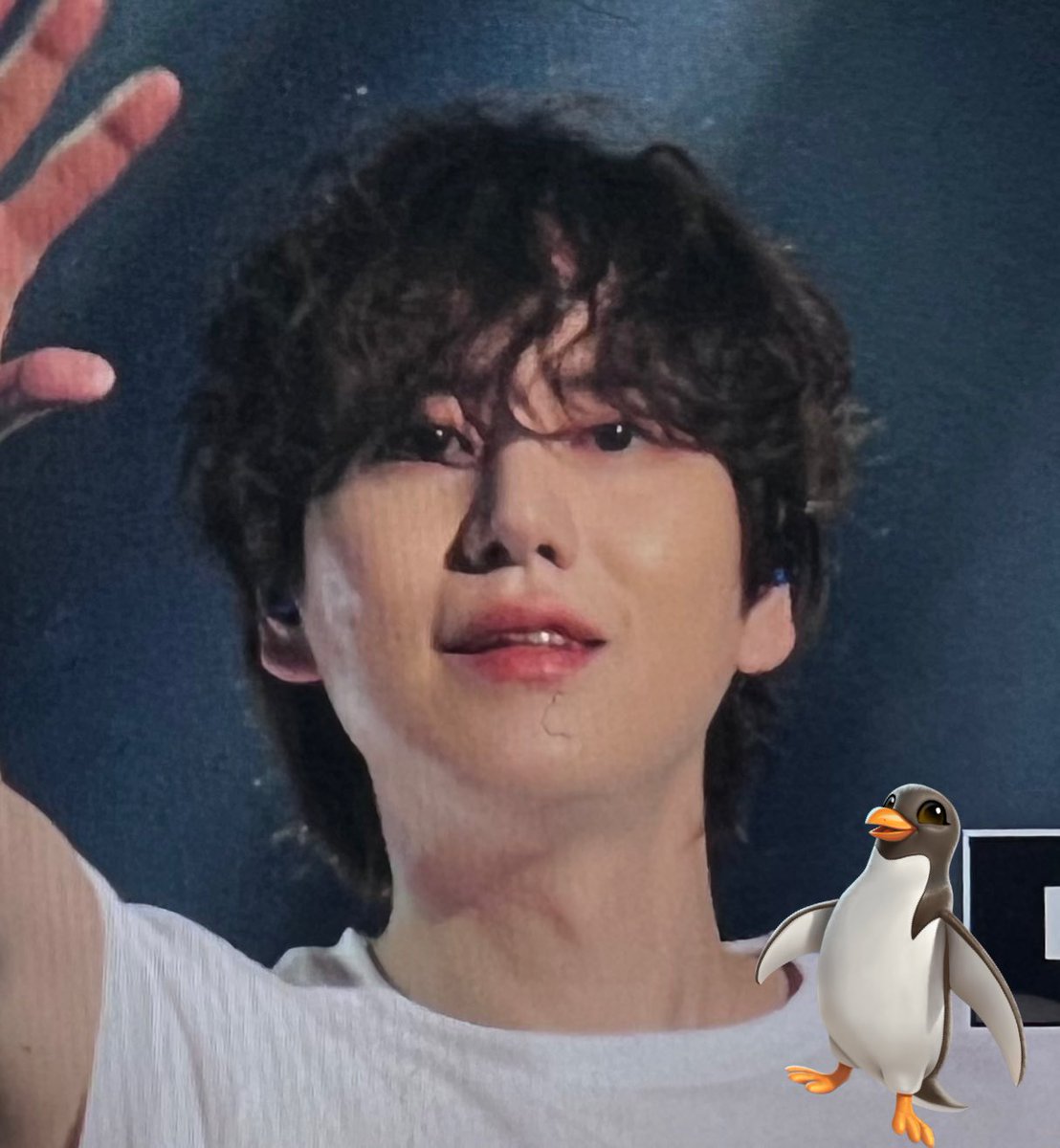 8ping_kyu8's tweet photo. 가나지 https://t.co/5A1RU4WBdo