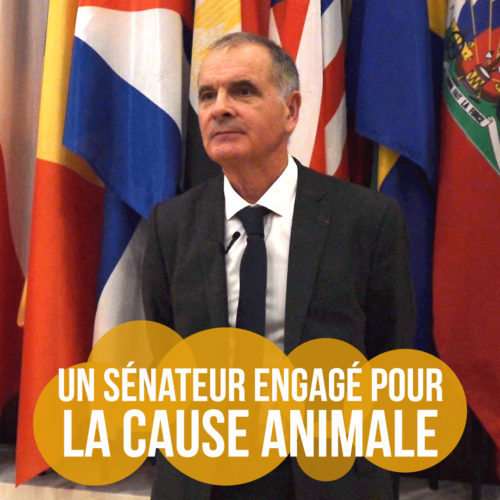 Antidote Europe remercie le sénateur Arnaud Bazin pour sa question parlementaire au Ministère de l'enseignement supérieur et de la recherche portant sur la sécurité des laboratoires P3 et P4 et sur les expériences de gain de fonction
senat.fr/questions/base…