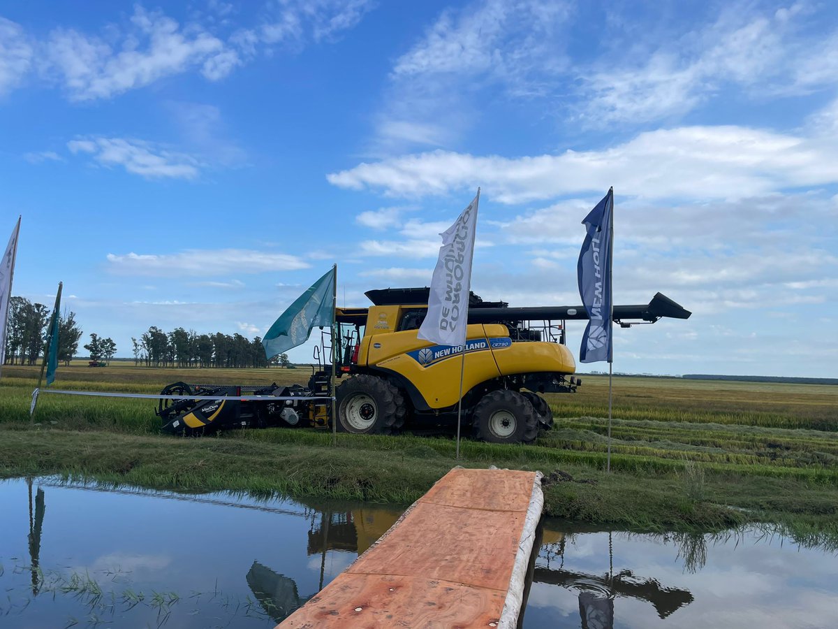 corporacionuy's tweet image. Estamos en la inauguración Cosecha de Arroz 🌾 2024. 

@ACAoficial 

#newholland #comasa #paisarrocero #Uruguay