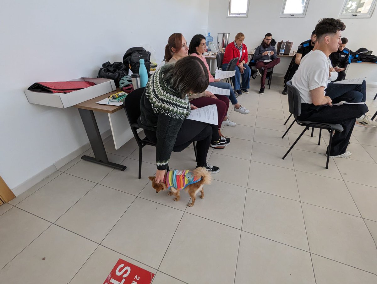 More from our @EUErasmusPlus
project in Malta! —here to train Malta Anti-Bullying Service! Our #RestorativePractices trainers have had a warm reception in Valetta. Our first RP Dog is being trained too! 
Thanks @Leargas.
#RestorativePractice #nonviolentcommunication #cpdteachers
