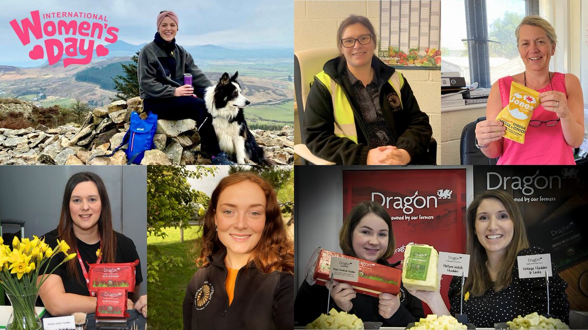 🌼 Celebrating International Women's Day🌼

Today, we honour the remarkable women at the heart of Dragon - from our diligent farmers to the pioneers in our offices. 

#InternationalWomensDay #MilkedinWales #MadeinWales