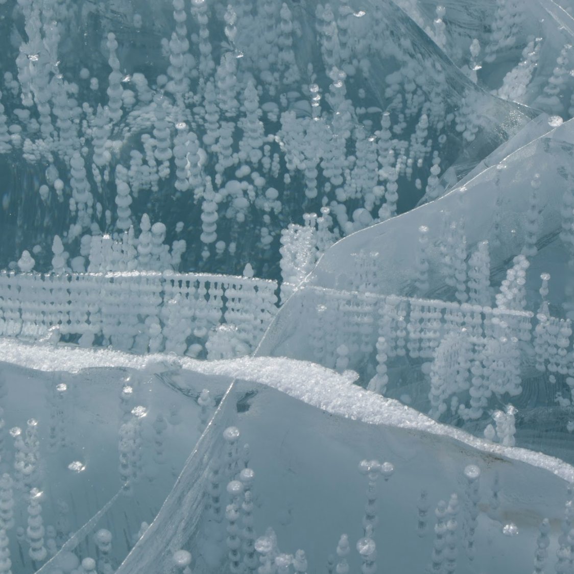 UltimaAntarcticExpeditions tweet media