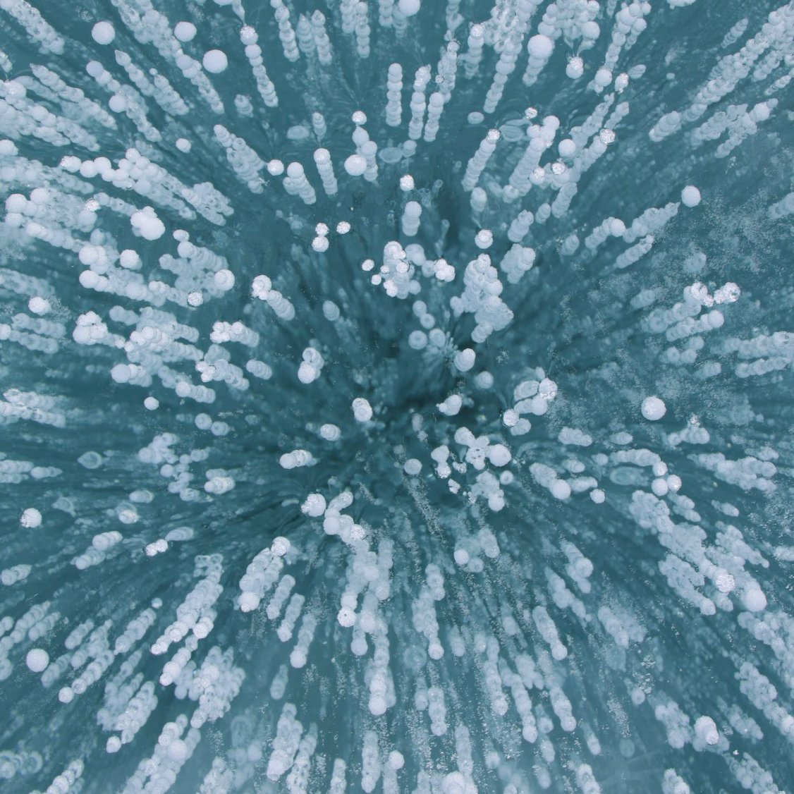 UltimaAntarcticExpeditions tweet media