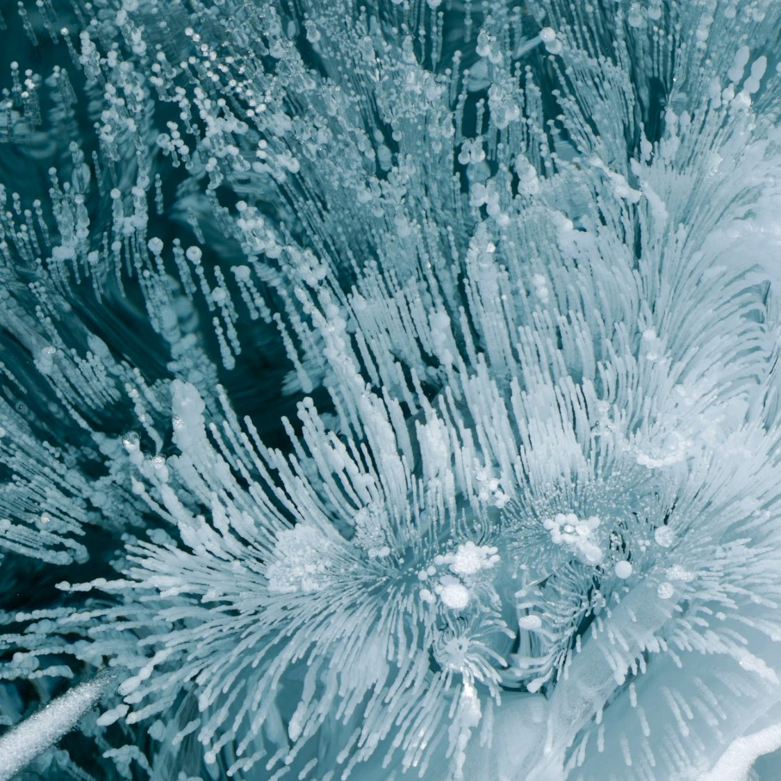 UltimaAntarcticExpeditions tweet media