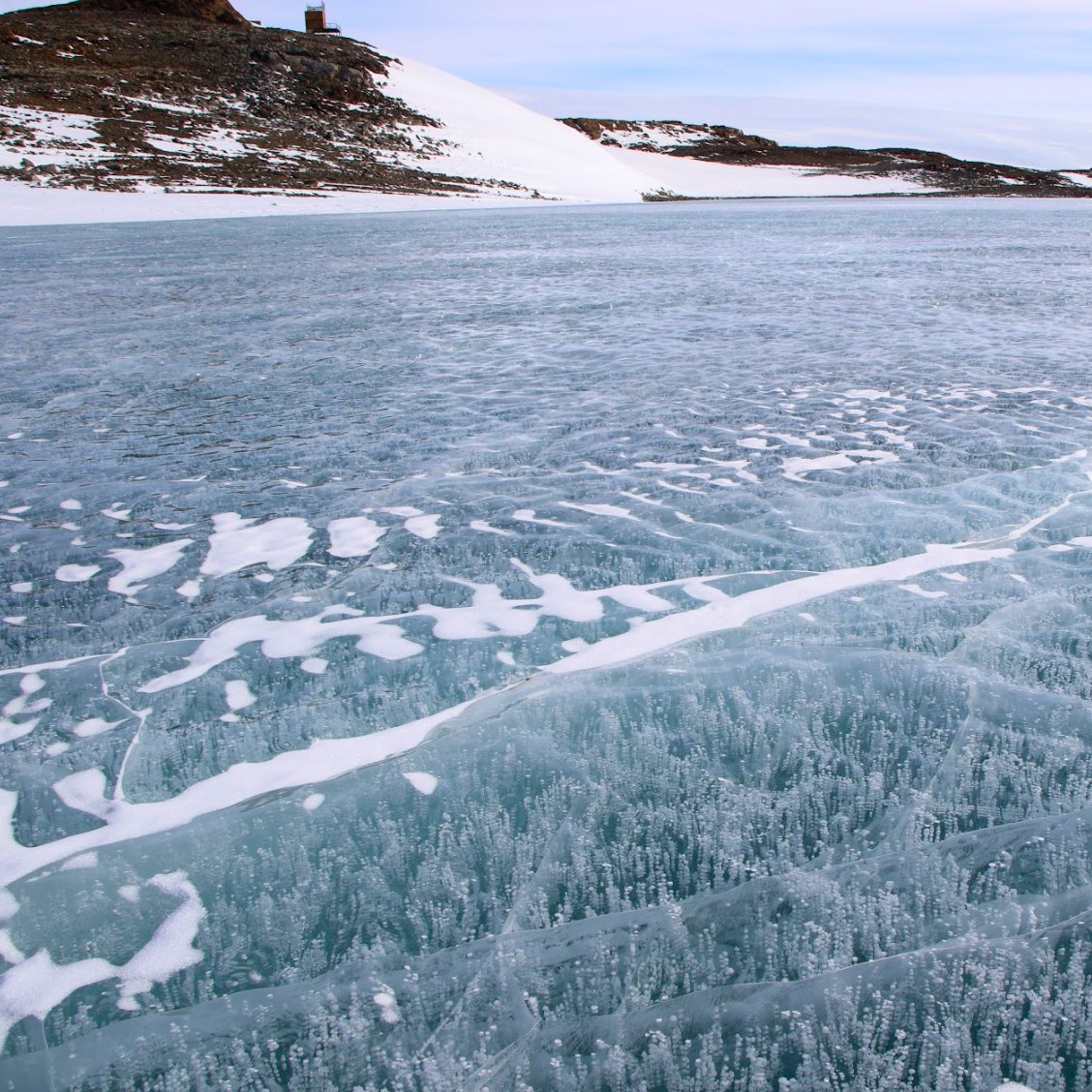 A collection of images of the delicate bubbles trapped in Antarctic ice, whispering tales of ancient atmospheres.

Discover more, ultima-antarcticexpeditions.com
