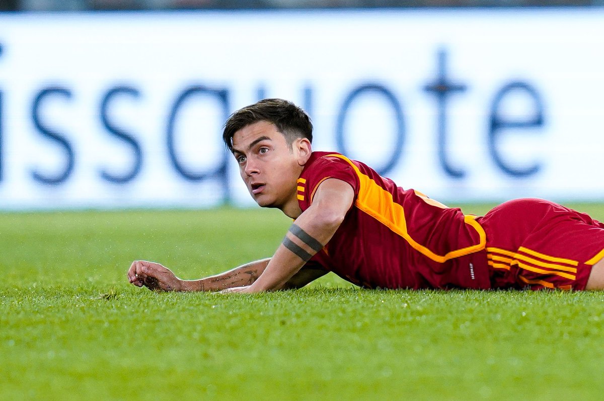 É bom estar de volta 🐺