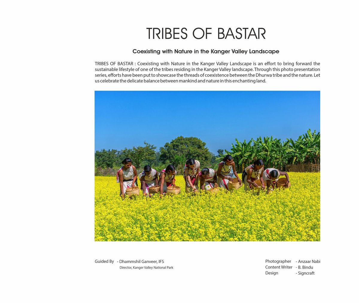 On the inaugural ceremony of Chitrakote Mahotsav, with great delight, I am sharing with you the glimpse of the launch of another Coffee Table Book 'TRIBES OF BASTAR' by Hon'ble Chief Minister of Chhattisgarh, in collaboration with Kanger Valley National Park .
