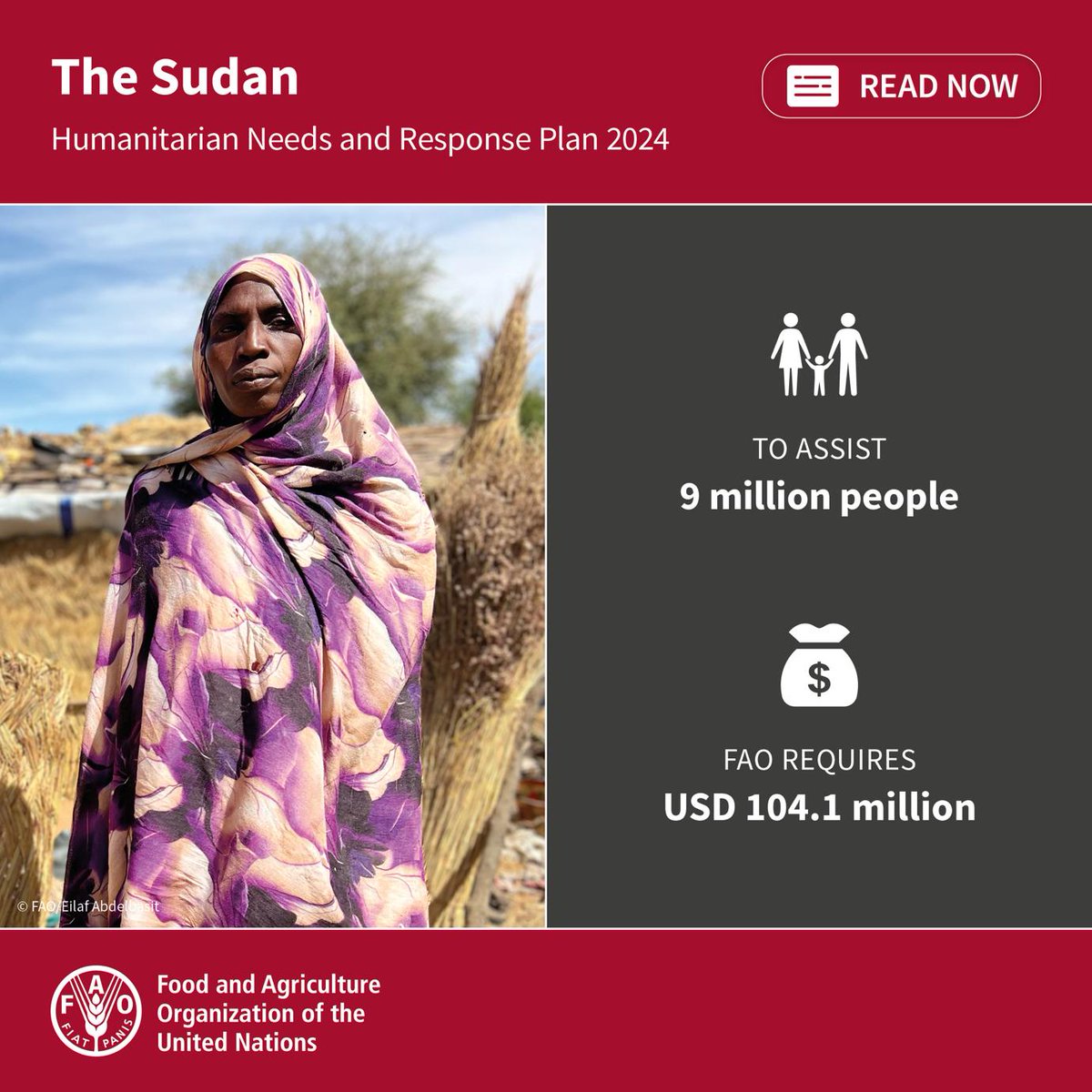 Sudan is facing unprecedented humanitarian crisis. As intense conflict/economic decline limit food access, restoring crop & livestock production—essential for 2/3 of the population—is a top priority. @FAO needs $104.1 million assist to 9 million people bit.ly/3VbSLrY