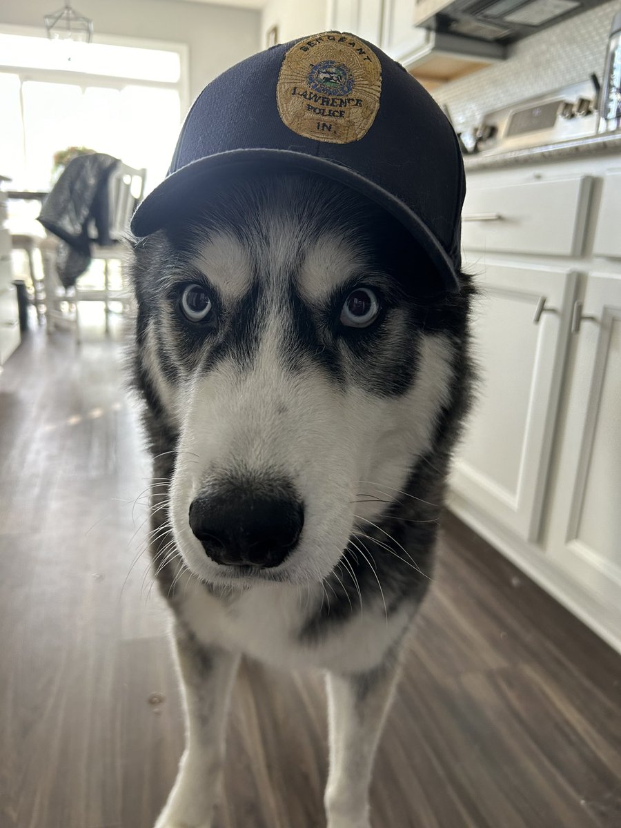 Sgt Rizzo is ready for work