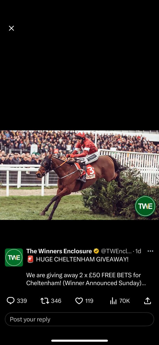 andrewcubby's tweet photo. @TWEnclosure https://t.co/Txk7P3onMX
