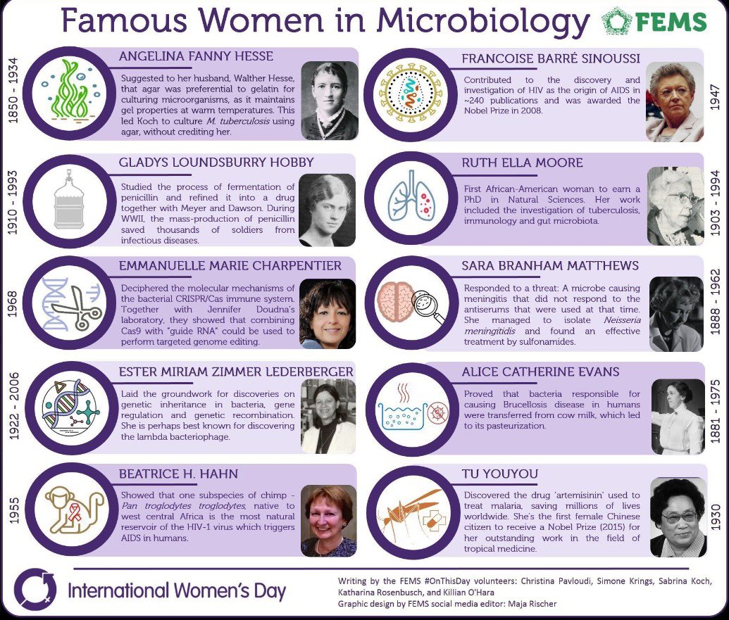 Microbiodiverso's tweet photo. #8M2024 #DiaInternacionalDeLaMujer 💜💜 https://t.co/xyn31vn1oO