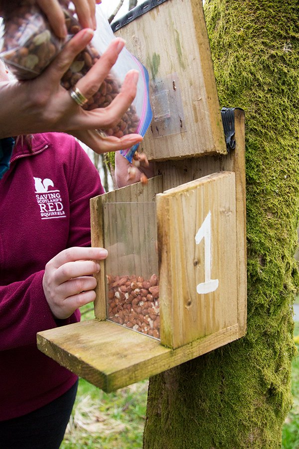 📣🐿 We’re recruiting for 2x new Monitoring and Control Officers in Dunkeld and Argyll & Trossachs! Deadline 24th March. Apply👇 scottishwildlifetrust.org.uk/about-us/worki… @NatureScot @ScotGovNetZero #NatureRestorationFund 📷 (Clockwise L-R) Nicole Still, Katie Berry, Bob Shand, Jo Foo