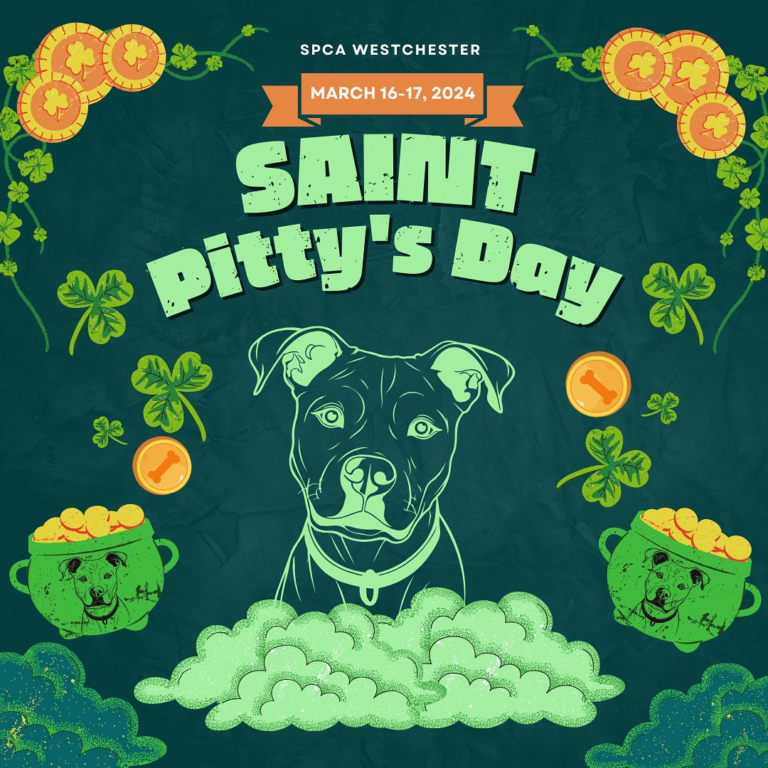 Join us on March 16 or 17 from 12pm to 4 pm for our St. Pitty’s Day event. We’ll be waiving adoption fees on select dogs & sending adopters home with 1 month of free preventatives! Plus goodies & prizes for your new 4-legged best friend. Info on adopting: spcawestchester.org/adopt/animals-…