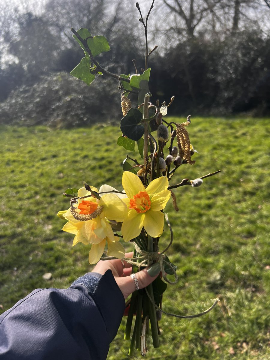 @acornpe (@acornpe) on Twitter photo Daffodil flower bunch making for Mother’s Day/ for a carer or loved one 💐🌼 <a href="/DiltonMarshSch/">Dilton Marsh Primary School</a> <a href="/primary_avenue/">The Avenue Primary School & Children's Centre</a> <a href="/newcloseschool/">New Close Primary School Warminster</a> <a href="/RowdePrimary/">Rowde C of E Primary Academy</a> <a href="/stjohnswarmins1/">@stjohnswarminster</a> Daffodil flower bunch making for Mother’s Day/ for a carer or loved one 💐🌼 <a href="/DiltonMarshSch/">Dilton Marsh Primary School</a> <a href="/primary_avenue/">The Avenue Primary School & Children's Centre</a> <a href="/newcloseschool/">New Close Primary School Warminster</a> <a href="/RowdePrimary/">Rowde C of E Primary Academy</a> <a href="/stjohnswarmins1/">@stjohnswarminster</a>
