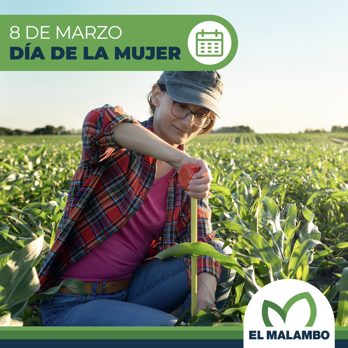 🗓️ #DíaInternacionalDeLaMujer

👉🏻 Hoy 8 de marzo, Día Internacional de la Mujer, destacamos la fuerza y determinación de todas las mujeres que luchan día a día por un mundo más justo e igualitario.

💐 ¡Feliz Día Internacional de la Mujer!

#DíaInternacionalDeLaMujer #ElMalambo