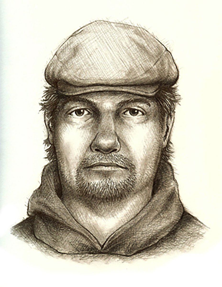 theCatTastrophy's tweet photo. Leaked #delphi #murders suspect sketches from a source very close to the investigation. Have you seen him? #bridgeguy #figsolves #justiceforabbyandlibby https://t.co/vSEP482LaK