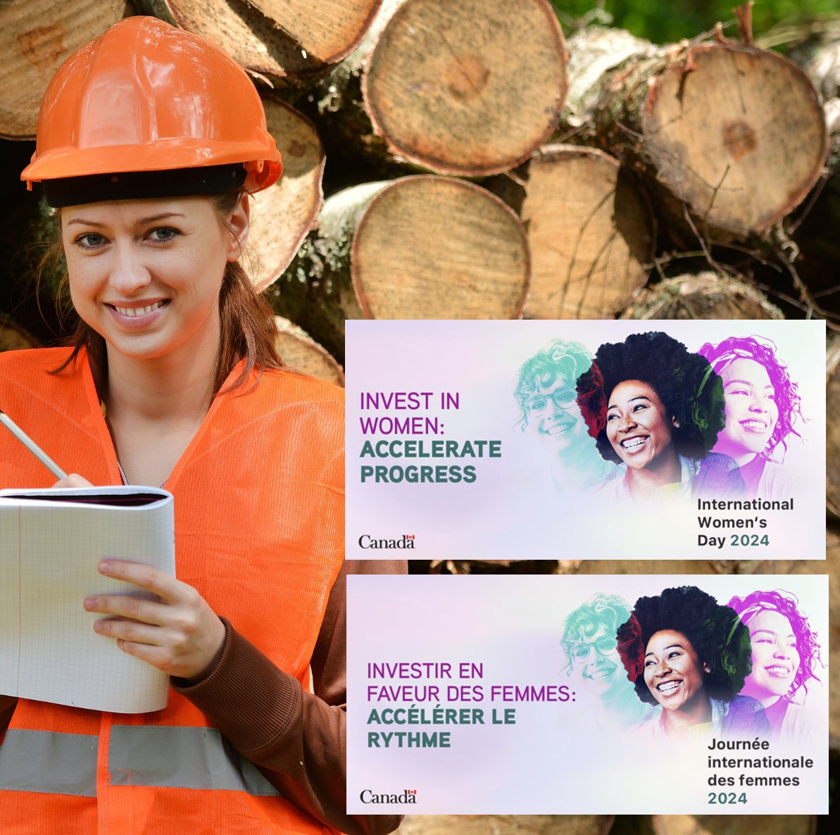Happy International Women's Day! Celebrate the incredible achievements of women in forestry and highlight the ongoing journey towards a more inclusive industry. #InternationalWomensDay #InclusiveForestry #DiversityMatters #EmpowerEveryVoice #ForestryFuture