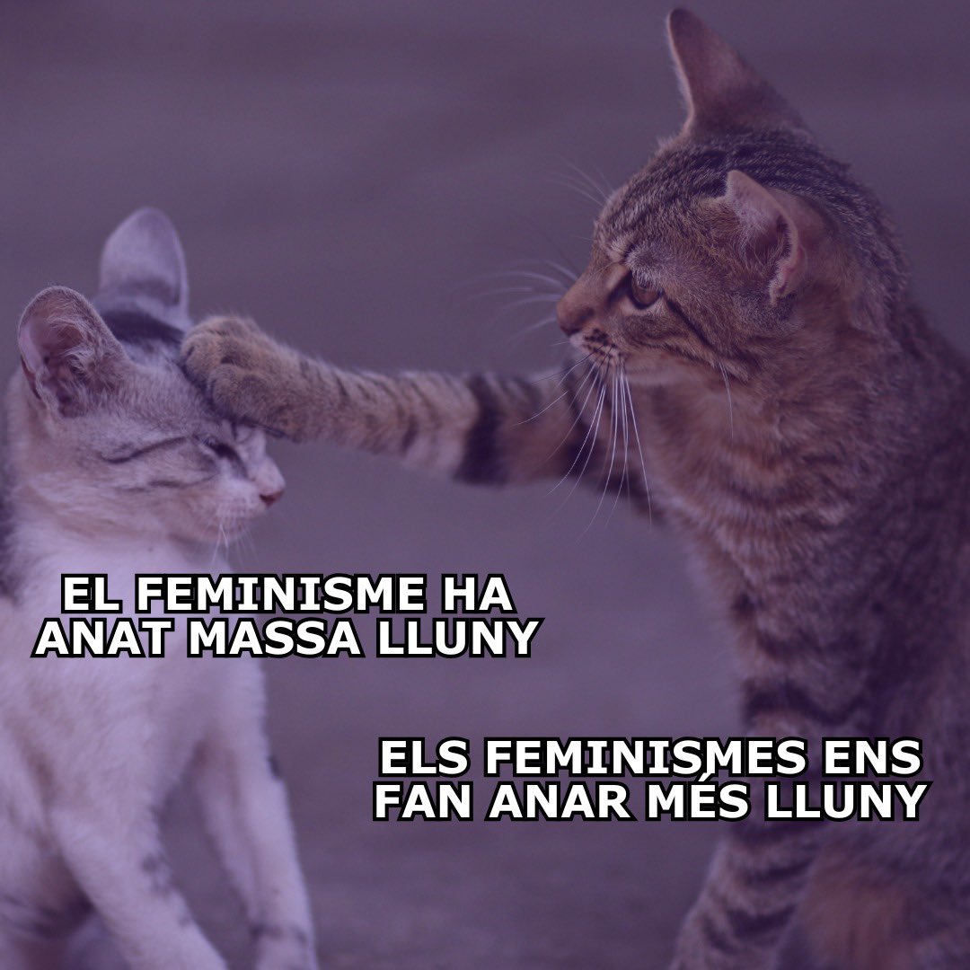 🟣✊ Els feminismes ens fan anar més lluny. 

#8MésLluny